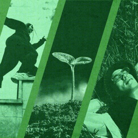 Green background with oval cutouts of three green-tinted images; from left to right: person running up stairs, a small plant growing up from the soil, and a person laying in the grass, smiling.