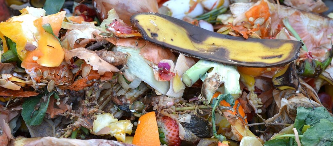 The door-to-door collection of kitchen green and food waste will start in Debrecen